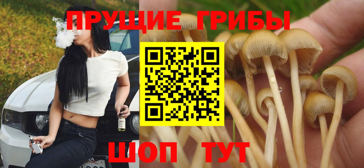 Псилоцибиновые грибы Magic Shrooms  Галлюциногенные грибы мухоморы  Зима  Вход с VPN 